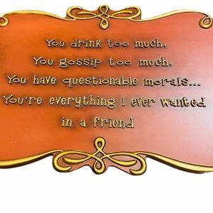 Best Friend theme plaque You drink too much...